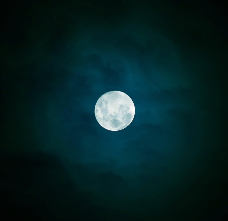 Moonlit Elegance